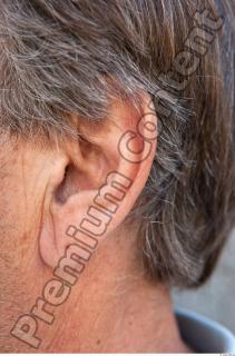 Ear texture of street references 401 0001